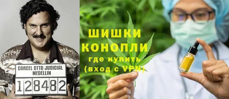 Конопля THC 21%  где продают   Злынка 